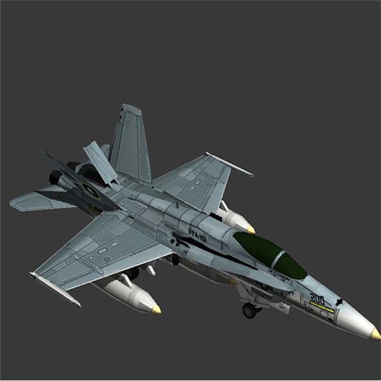 鹿寨3D舰载战斗机模型
